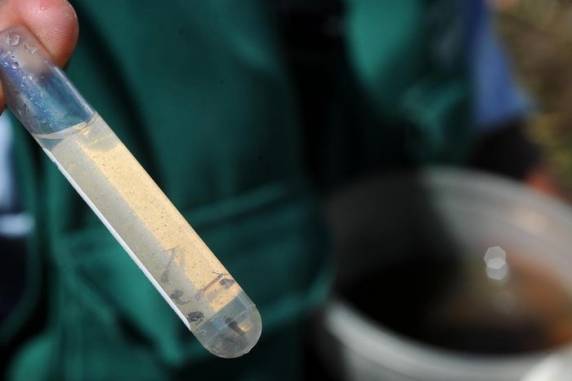 São 47 mortes no Estado pela doença até o momento