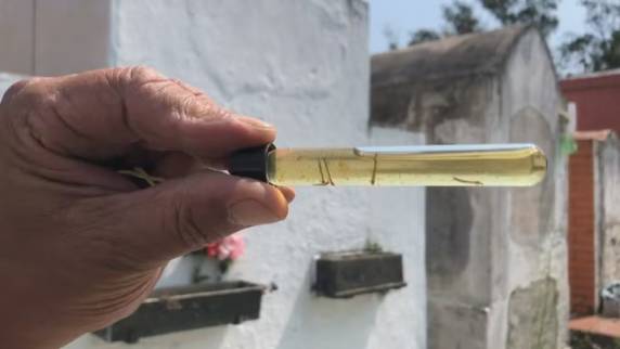 RS registra 97 mortes pela doença no ano