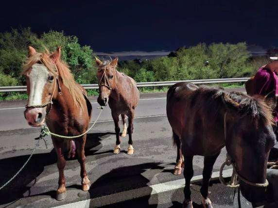 Todas as vítimas são homens, segundo a concessionária que administra a rodovia; ocorrência foi no sentido Interior-Capital, às 19h