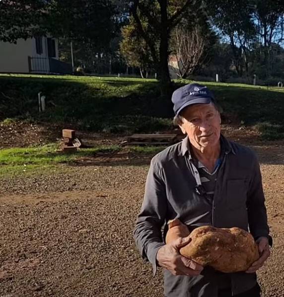 Alimento foi plantado em local que eles achavam que não daria resultado. Colheita foi feita em Tangará, no Oeste.