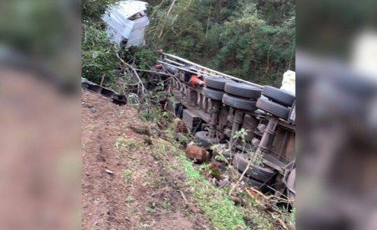 Fato foi registrado na tarde desta terça-feira (20)