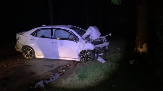 Motorista de um Corolla colidiu na traseira de um Corsa e parou em uma árvore