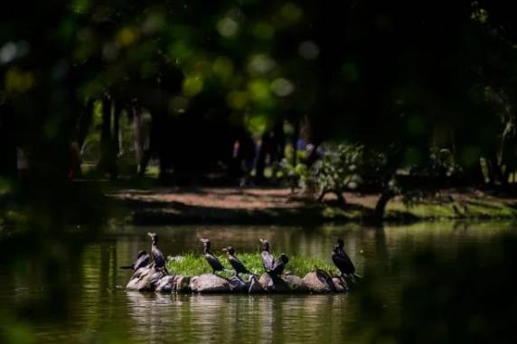 Conforme informações da Climatempo, instabilidade deve seguir até quinta-feira