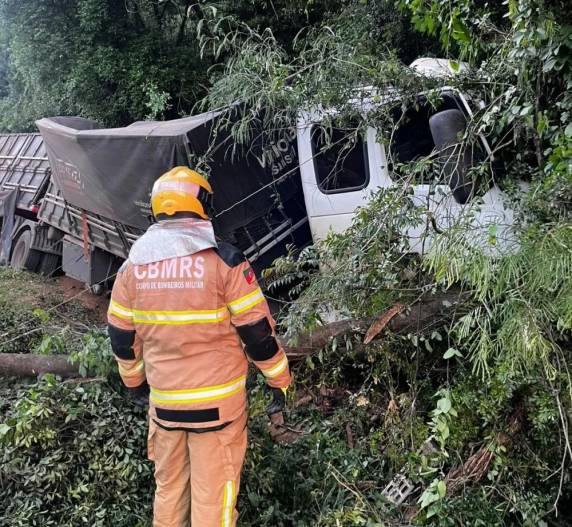 Depois de sair da pista o caminhão bateu em uma árvore