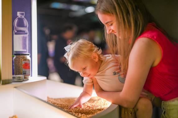 Experiência sensorial com os grãos de soja na exposição de longa duração do MEA - Memorial da Evolução Agrícola