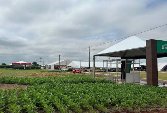 O ato será realizado às 16h do sábado, dia 30 de novembro