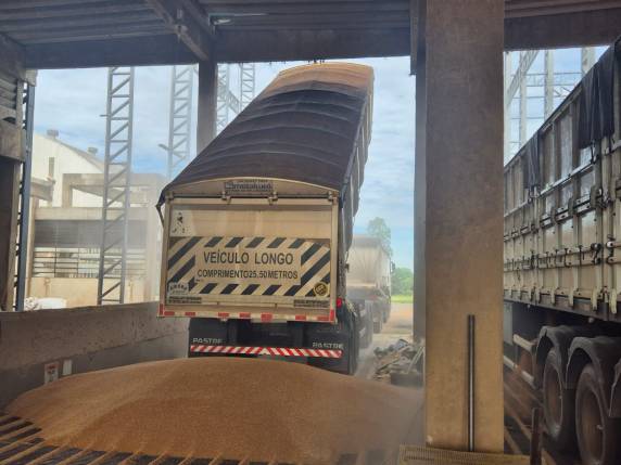 Estatal comprou o cereal de produtores gaúchos, num investimento de R$ 11,78 milhões