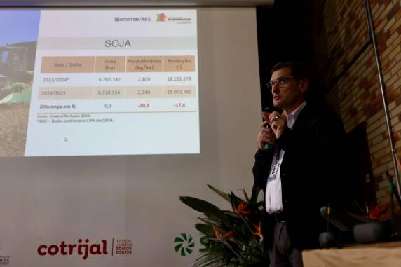 Considerando toda a safra a de verão, quebra deverá ser de 6%. Comparativo é em relação à última colheita, que sofreu impacto da enchente somente no fim do ciclo.