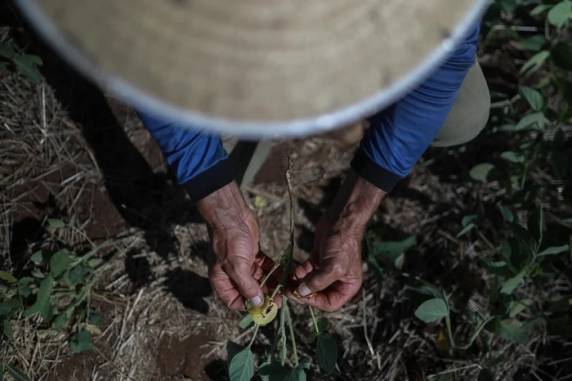 Fenômeno climático foi um dos responsáveis pelo verão mais seco e quente. Chuva seguirá abaixo da média nos próximos meses e pode não ser o suficiente para amenizar o problema