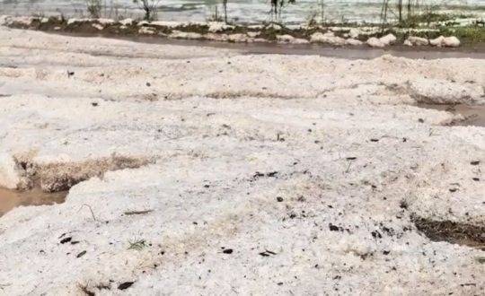 Em resposta aos prejuízos causados, a Prefeitura decretou situação de emergência por 180 dias