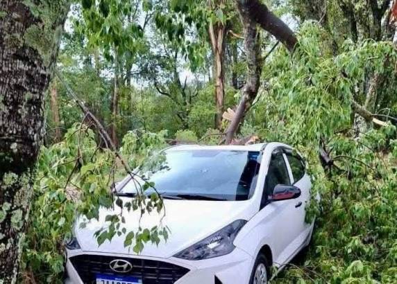 A tempestade trouxe rajadas de vento acompanhadas de chuva, resultando na queda de árvores e no bloqueio temporário do acesso ao Passo Novo pela entrada do IFF.