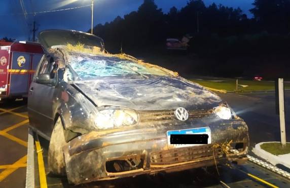 Motorista trafegava no sentido Taquara-Igrejinha quando perdeu o controle do carro e saiu da pista