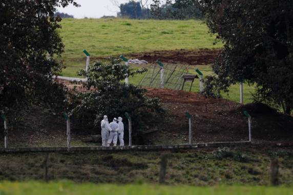 Vírus altamente contagioso entre aves foi detectado em Montenegro na sexta-feira (16); decisão saiu no Diário Oficial do Estado deste sábado (17)