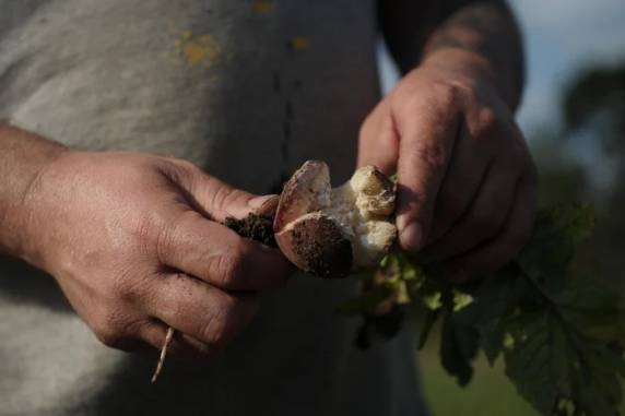 Apesar de alívio no prazo para pagar parcelas de financiamentos para custeio e investimentos, setor cobra medidas mais amplas, como renegociação e securitização