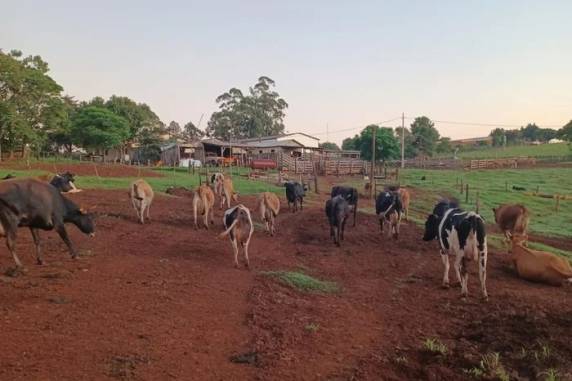 Apesar de alívio no prazo para pagar parcelas de financiamentos para custeio e investimentos, setor cobra medidas mais amplas, como renegociação e securitização