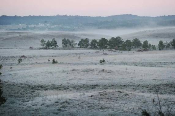 Segundo o Inmet, todas as regiões do Estado terão o sábado e o domingo gelados