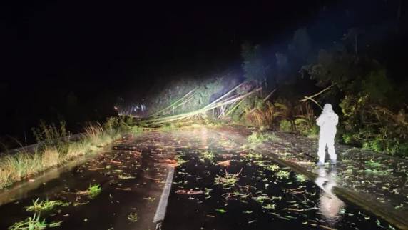 Estrada foi interditada por cerca de três horas após queda de árvores e formação de gelo na pista