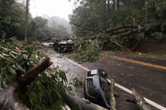 Caso aconteceu no fim da tarde desta quinta-feira, na Avenida Rubem Berta