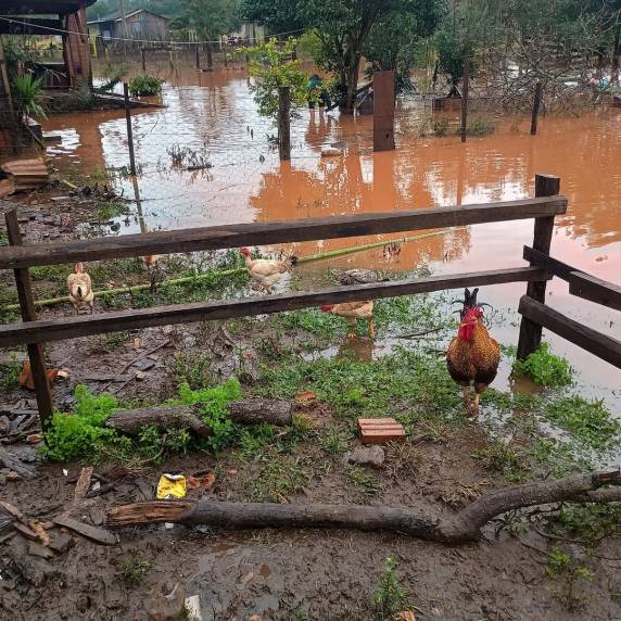 As autoridades locais acompanham a situação e alertam para que a população das áreas ribeirinhas mantenha atenção ao nível do rio.