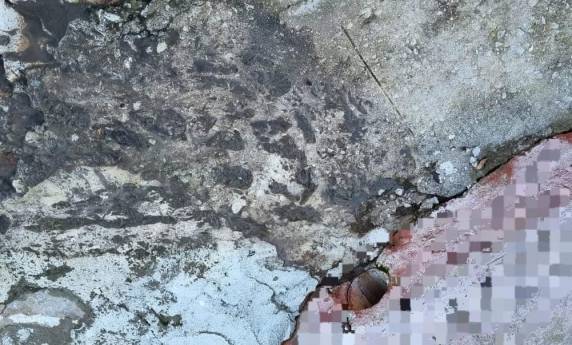 A prática configura crime ambiental e infração sanitária, além de oferecer riscos à saúde pública e ao meio ambiente.