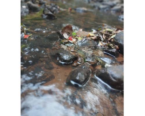 A origem ainda não foi indetificada