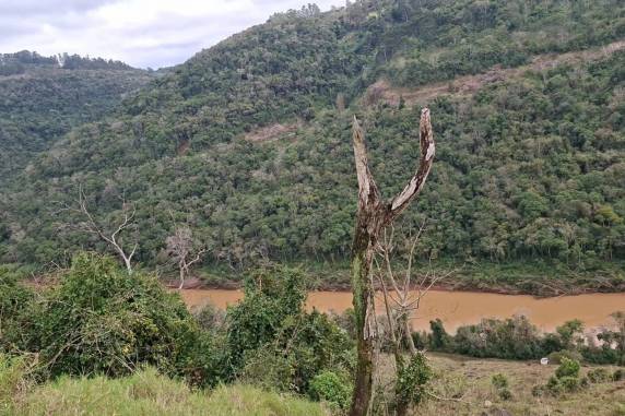 Motorista da Mitsubishi L200 ficou ferido. Acidente ocorreu na manhã desta quinta-feira