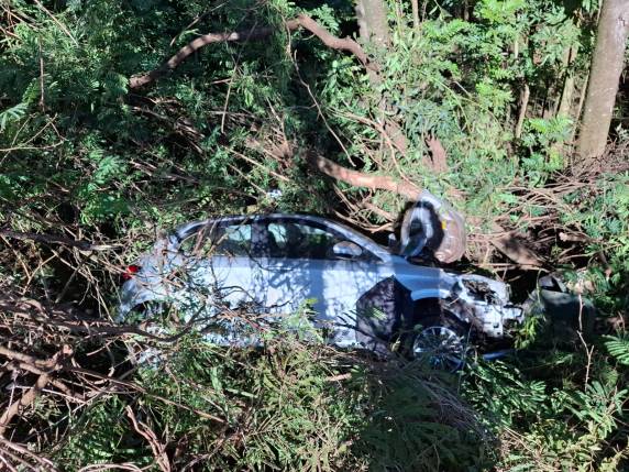 Após a colisão, o caminhão saiu da pista, caiu em um riacho e o motorista morreu no local. O automóvel Onix também saiu da pista, parando em meio a árvores às margens da rodovia.