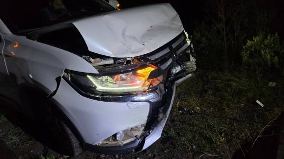 Condutora perdeu o controle de veículo após se assustar com animal na pista