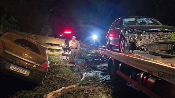 Colisão envolveu dois veículos e uma árvore caída na pista; duas pessoas precisaram de atendimento médico