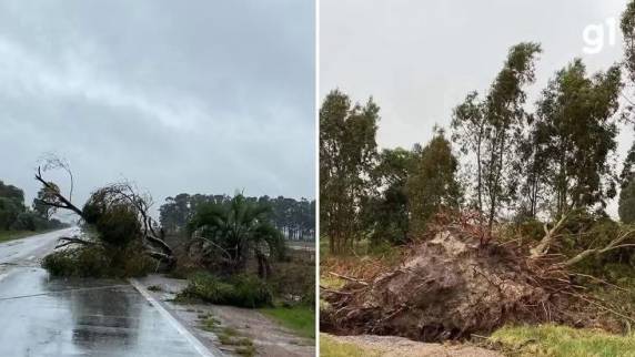 Rajadas de vento derrubaram postes e torres de energia, causaram bloqueios em rodovias e deixaram quase mil moradores sem luz no município do Sul do Estado.