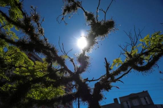 Menores índices são esperados na serra gaúcha, onde os registros ficam próximos dos 5ºC no início do dia