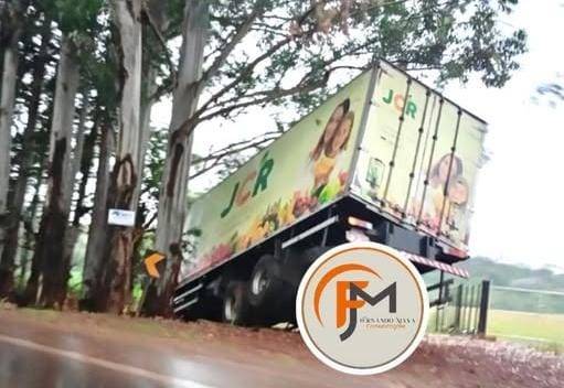 Veículo de transporte de frutas ficou suspenso entre vegetação e eucaliptos; motorista não se feriu