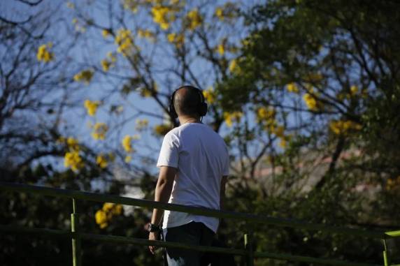 Sol vai prevalecer no Estado durante todo o dia, o que favorecerá a subida da temperatura à tarde, especialmente na metade oeste