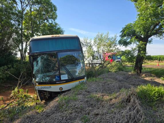 Colisão ocorreu na manhã desta sexta-feira (24), próximo ao Pesque e Pague