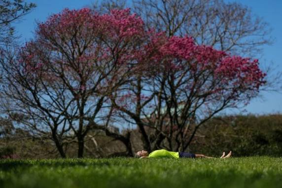 Estação é caracterizada pela variação térmica com picos de calor intercalado a índices mais amenos e chuva