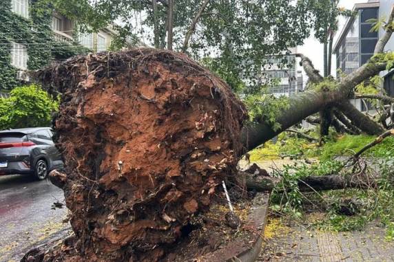 Conforme a Defesa Civil estadual, rajadas de vento chegaram a quase 100 km/h; ainda há 157 mil pontos sem energia elétrica no Estado
