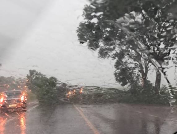 Ventos fortes geram bloqueios, danos em propriedades e mobilizam equipes de emergência neste domingo
