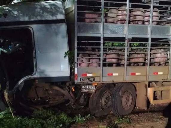 Bombeiros Militares prestaram atendimento ao condutor, que foi levado ao hospital; trânsito permaneceu liberado e não houve comprometimento da carga