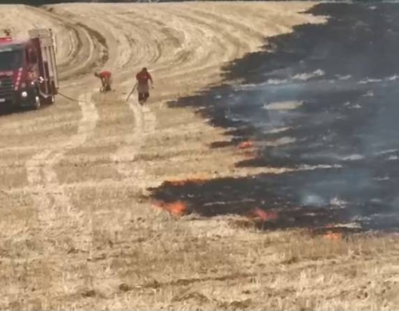 Fogo consumiu aproximadamente 10 mil m² e foi controlado pelos Bombeiros