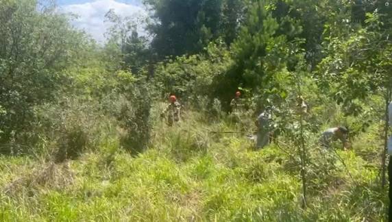 Veículo foi localizado por trabalhador rural às margens da rodovia, em Santa Maria; polícia suspeita que o estouro de um pneu tenha provocado a saída de pista