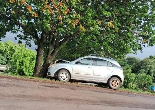 Condutor e menino de 5 anos foram encaminhados ao Hospital de Caridade após colisão em árvore
