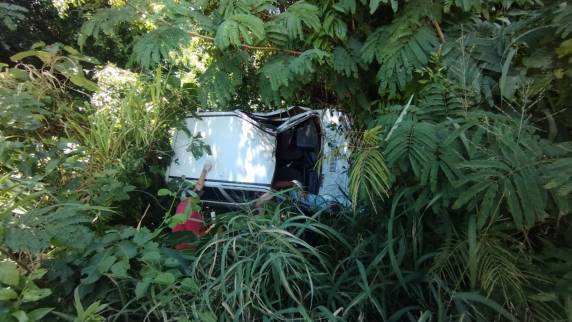 Carro ficou pendurado em árvores às margens da rodovia; mulher ficou ferida sem gravidade e criança não se feriu