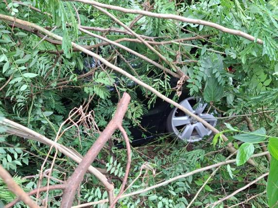 Gol com placas de Ijuí colidiu contra placa de sinalização e ficou escondido na vegetação às margens da rodovia