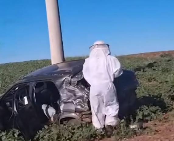 Motorista perdeu o controle do veículo após insetos invadirem o interior do carro