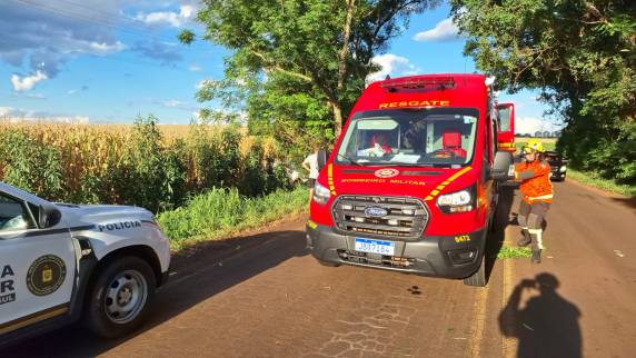 Veículo emplacado em Três de Maio colidiu contra uma árvore no trecho entre Horizontina e Tucunduva