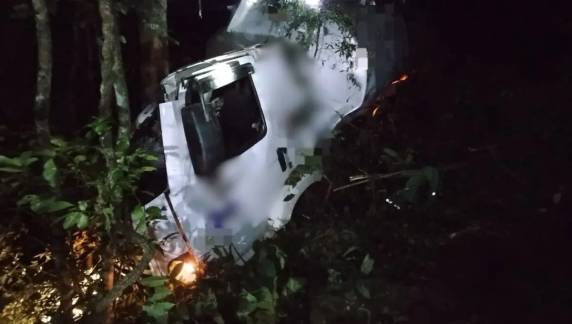 Caminhão caiu aproximadamente 20 metros em uma ribanceira às margens da rodovia