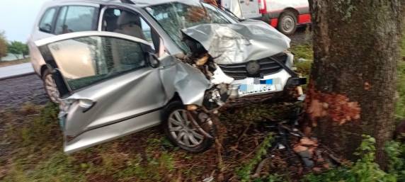 Mulher ficou presa às ferragens e precisou ser desencarcerada pelos bombeiros após colisão contra árvore