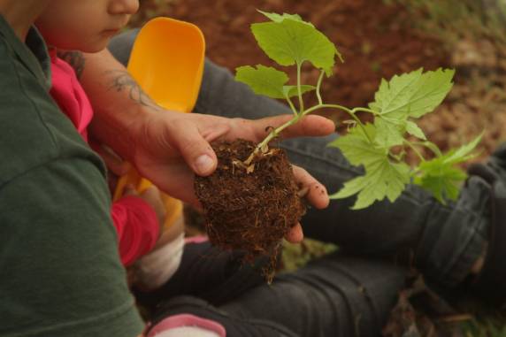 Projeto reúne horta pedagógica, compostagem, oficinas e atividades educativas ao longo de 2026