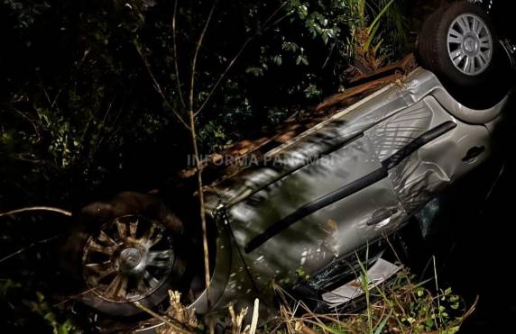 Motorista teria desviado de cachorro, perdido o controle e veículo parou em barranco